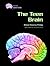The Teen Brain (Gray Matter)