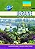 Ukraine (Modern World Nations)
