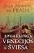 Apgaulinga Venecijos šviesa by Juan Manuel de Prada