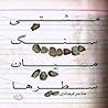 مشتی سنگ میان سطرها