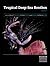 Tropical Deep-Sea Benthos, ...