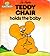 Teddy Chair Holds the Baby (The Magic House, #8)