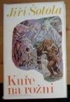 Kuře na rožni (Hardcover)