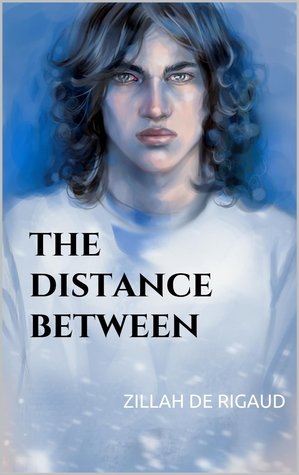 The Distance Between (Kindle Edition)