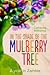 In the Shade of the Mulberry Tree by Catharine Withenay