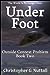 Under Foot (Outside Context Problem, #2)
