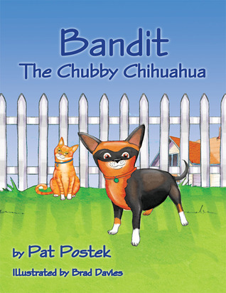 Bandit, The Chubby Chihuahua