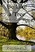Be Like a Tree: The Keys to...