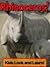 Rhinoceros!