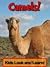 Camels