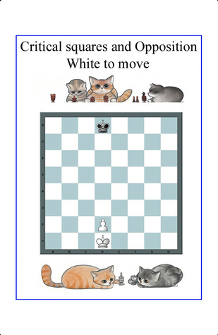 The most important Chess Pattern - Critical Squares