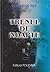 Trenul de noapte by Romulus Tot Trenul de noapte by Romulus Tot