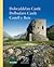 Dolwyddelan Castle - Dolbadarn Castle - Castell Y Bere by Richard Avent