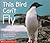 This Bird Can't Fly