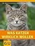 Was Katzen wirklich wollen