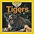 Tigers (Baby Animals)
