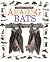 Amazing Bats
