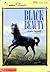 Black Beauty by Anna Sewell