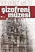 Şizofreni Müzesi