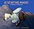 Le Secret des nuages