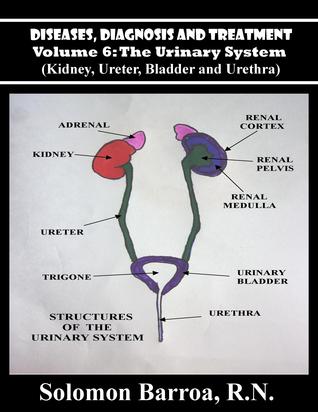 Diseases, Diagnosis and Treatment, Volume 6: The Urinary System