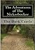 The Adventures of the Nickerbocker: The Dark Castle (book 1)