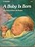 A Baby is Born: The Story of How Life Begins