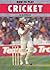 How to Play Cricket
