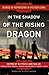 In the Shadow of the Rising Dragon: Stories of Repression in the New China