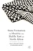 State Formation and Identity in the Middle East and North Africa