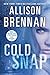 Cold Snap by Allison Brennan