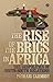 The Rise of the BRICS in Africa: The Geopolitics of South-South Relations