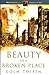 Beauty in a Broken Place by Colm Tóibín
