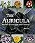 Auricula: History, Cultivation and Varieties