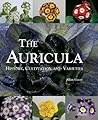 Auricula: History, Cultivation and Varieties