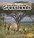 Living and Nonliving in the Grasslands (Heinemann Read and Learn: Is It Living or Nonliving?)