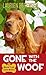 Gone With the Woof (Melanie Travis, #16)