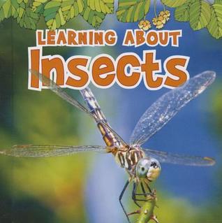 Learning About Insects (The Natural World)