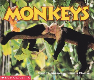 Monkeys