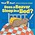 Does a Beaver Sleep in a Bed (Think About...)