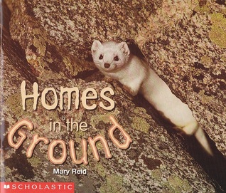 Homes in the Ground (Paperback)