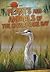Plants and Animals of the Chesapeake Bay (Exploring the Chesapeake Bay, 2)