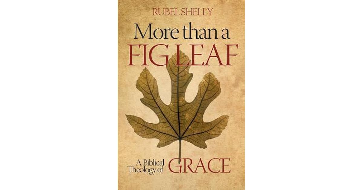 More Than a Fig Leaf A Biblical Theology of Grace by Rubel Shelly