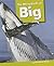 The Many Kinds of Big (So M...