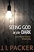Seeing God in the Dark: Unraveling the Mysteries of Holy Living
