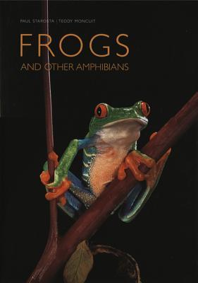 Frogs: And Other Amphibians (Hardcover)