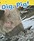 Dig, Pig!