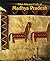 Tribal Arts and Crafts of Madhya Pradesh by Manohar Ashi