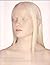 Light Sensitive: Contempora...