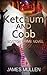 Ketchum and Cobb: A Boston Crime Novel